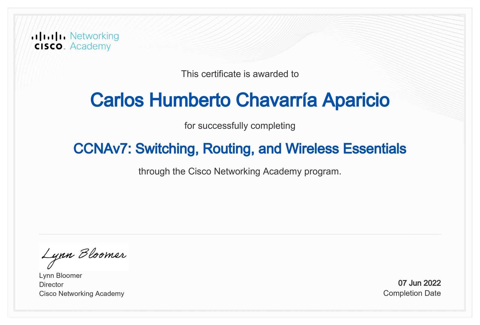 Diploma redes